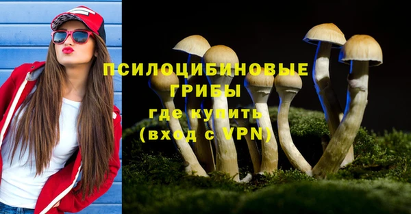 а пвп мука Кодинск