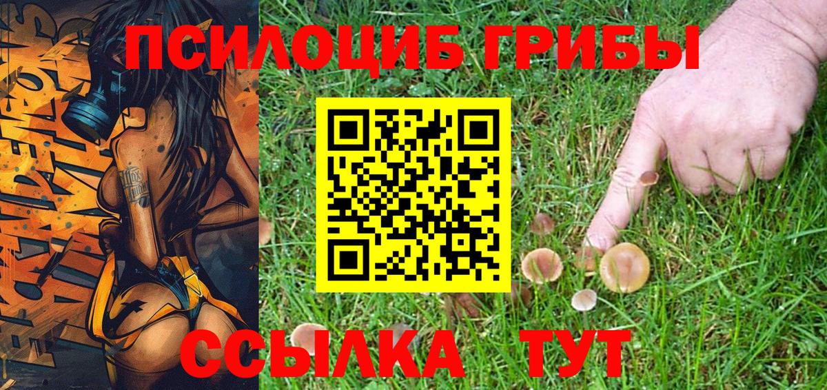 Псилоцибиновые грибы MAGIC MUSHROOMS Лосино-Петровский