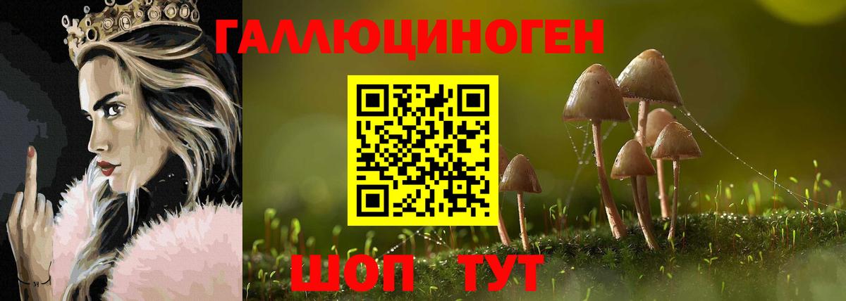 Галлюциногенные грибы прущие грибы  Галлюциногенные грибы Psilocybe  закладка  Лосино-Петровский  Вход с VPN 