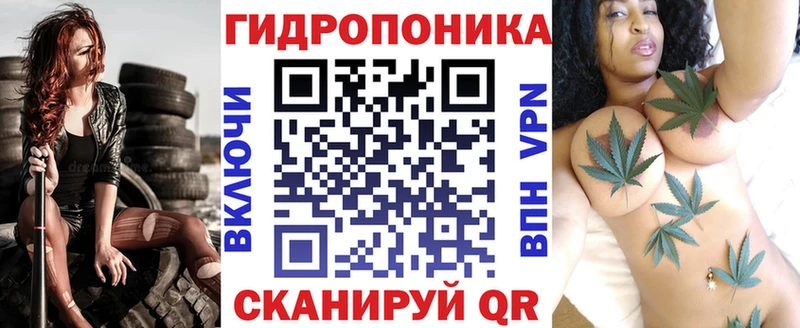 Бошки Шишки VHQ  Лосино-Петровский 